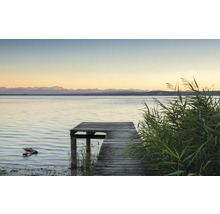 Houten steiger aan een meer met riet