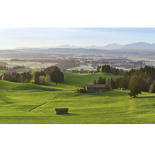 Landschap met groene heuvels, boerderijen en bergen op de achtergrond
