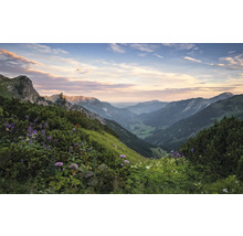 Berglandschap met groene hellingen en bloeiende planten