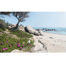 Scene met zandstrand, rotsen en kustvegetatie