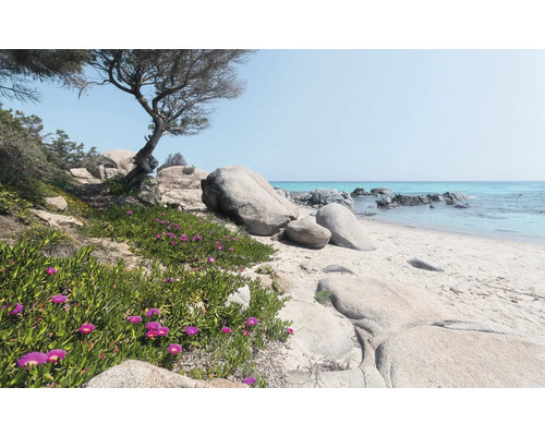 KOMAR Fotobehang vlies SHX9-056 Wanderlust - Stefan Hefele Mediterranean Dreams 450x280 cm Scene met zandstrand, rotsen en kustvegetatie