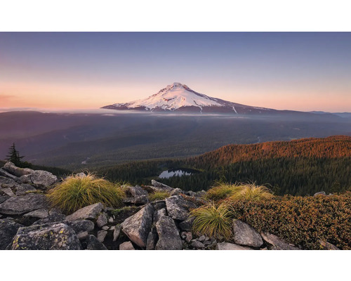 KOMAR Fotobehang vlies SHX9-050 Wanderlust - Stefan Hefele Kingdom of a Mountain 450x280 cm Berglandschap met besneeuwde top, bos en rotsen op de voorgrond