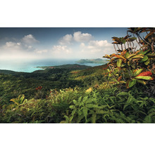 Panoramische opname van een tropisch heuvellandschap met uitzicht op zee