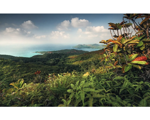 KOMAR Fotobehang vlies SHX9-043 Wanderlust - Stefan Hefele Heavens Balcony 450x280 cm Panoramische opname van een tropisch heuvellandschap met uitzicht op zee
