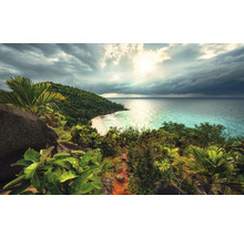 Tropisch landschap met uitzicht op zee, strand en vegetatie