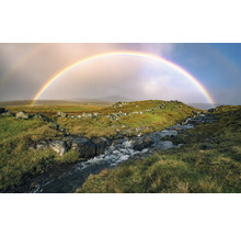 Landschap met beek, stenen en regenboog