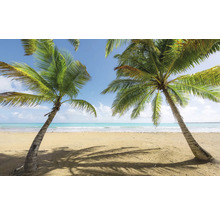 Tropisch strand met palmbomen en blauwe lucht