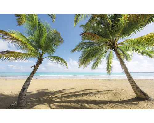 KOMAR Fotobehang vlies SHX9-014 Wanderlust - Stefan Hefele Caribbean Days II 450x280 cm Tropisch strand met palmbomen en blauwe lucht