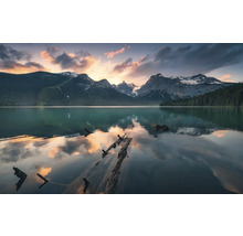 Bergmeer met boomstammen en berglandschap