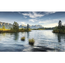 Merengebied met bomen en bergen op de achtergrond
