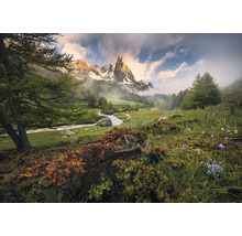 Berglandschap met rivier, weiden en bomen