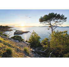 Landschap met kustlijn, zee en bomen