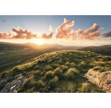 Landschap met heuvels, gras en zonsopgang