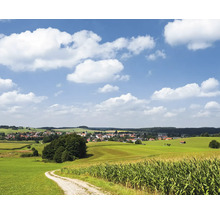 Landschap met landweg, maisveld en dorp onder een blauwe lucht met wolken