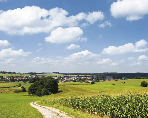 KOMAR Fotobehang vlies SHX7-006 Wanderlust - Stefan Hefele Idyll 350x280 cm Landschap met landweg, maisveld en dorp onder een blauwe lucht met wolken