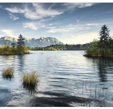 Meerlandschap met bergen en bomen op de achtergrond