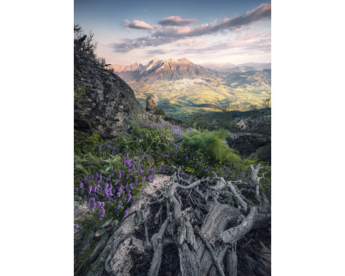 KOMAR Fotobehang vlies SHX4-130 Wanderlust - Stefan Hefele Flowering Tales 200x280 cm Berglandschap met rotsen, bloeiende planten en uitzicht op een vallei