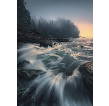 Kustlandschap met rotsen en bomen in de mist