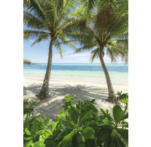 Strandgezicht met palmbomen en vegetatie