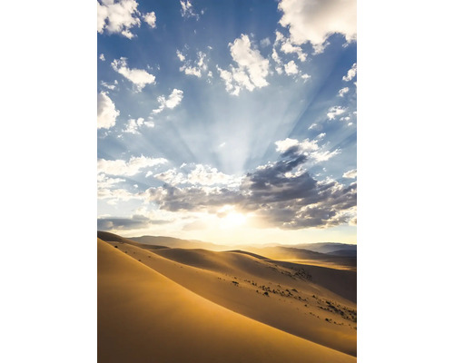 KOMAR Fotobehang vlies SHX4-100 Wanderlust - Stefan Hefele Desert Magic 200x280 cm Landschap met zandduinen en zonnestralen
