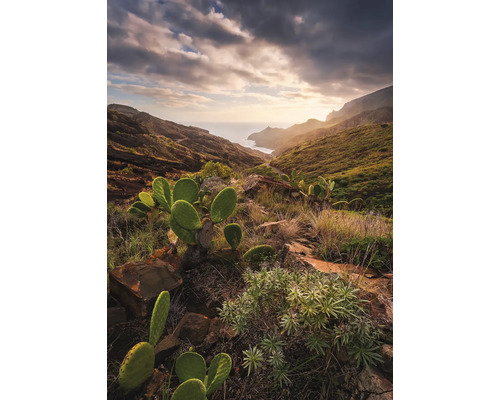 KOMAR Fotobehang vlies SHX4-092 Wanderlust - Stefan Hefele Warmes Licht 200x280 cm Landschap met bergen, zee en cactussen