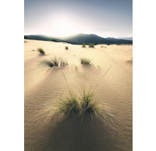 Zandduinen met gras en bergen op de achtergrond