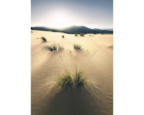 Zandduinen met gras en bergen op de achtergrond