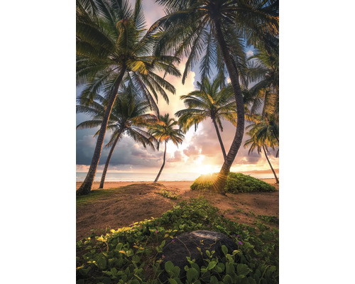 KOMAR Fotobehang vlies SHX4-090 Wanderlust - Stefan Hefele Vertical Paradise 200x280 cm Scene met palmbomen op het strand bij zonsondergang