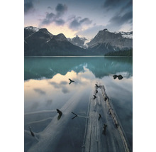 Bergmeer met boomstammen in het water en berglandschap