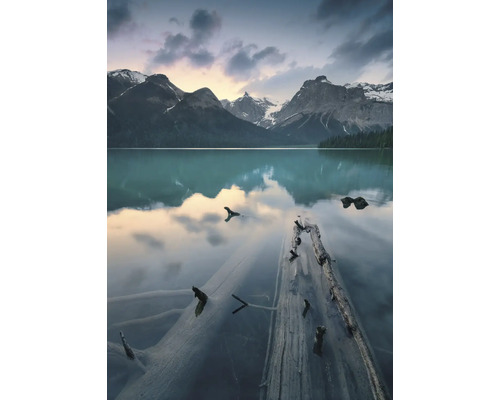 KOMAR Fotobehang vlies SHX4-012 Wanderlust - Stefan Hefele Burning Emerald 200x280 cm Bergmeer met boomstammen in het water en berglandschap