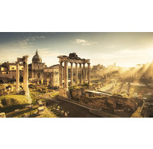 Overzicht van het Forum Romanum met ruïnes en zuilen