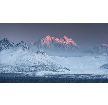 Landschap met besneeuwde bergen en een dennenbos op de voorgrond