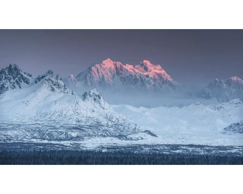 KOMAR Fotobehang vlies SHX10-035 Wanderlust - Stefan Hefele Thrones 500x280 cm Landschap met besneeuwde bergen en een dennenbos op de voorgrond