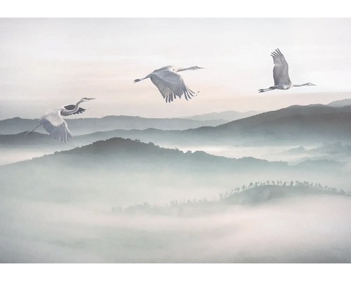 Scène met vliegende kraanvogels boven een mistig berglandschap