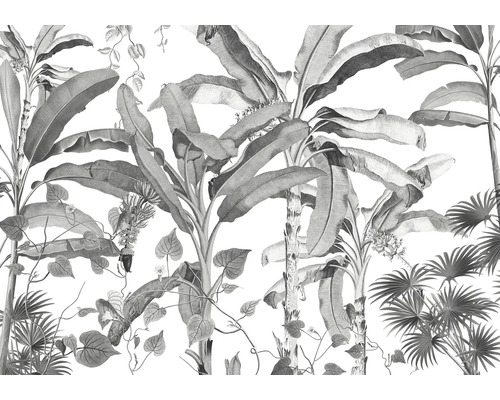 Illustratie van tropische planten als wanddecoratie