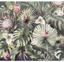 Illustratie van diverse tropische planten