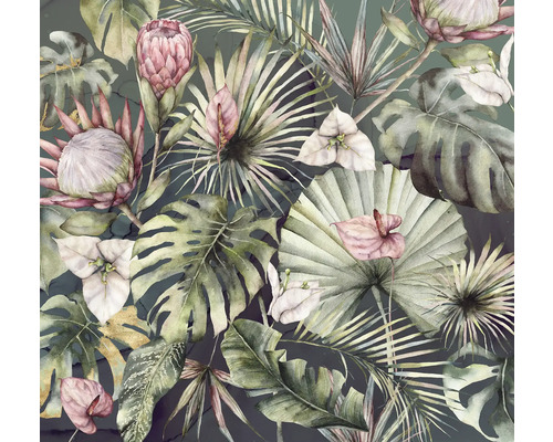 Illustratie van diverse tropische planten