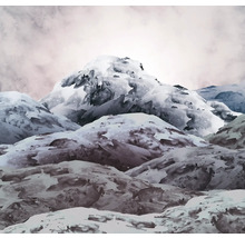 Schilderij van een besneeuwd berglandschap