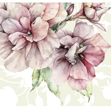 Illustratie met roze bloemen