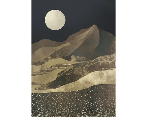 Decoratieve muurafbeelding met bergmotief en maan