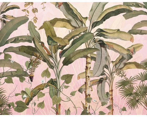 Behang met plantmotieven, inclusief bananenplanten