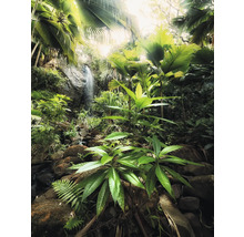 Jungle met waterval en weelderige vegetatie