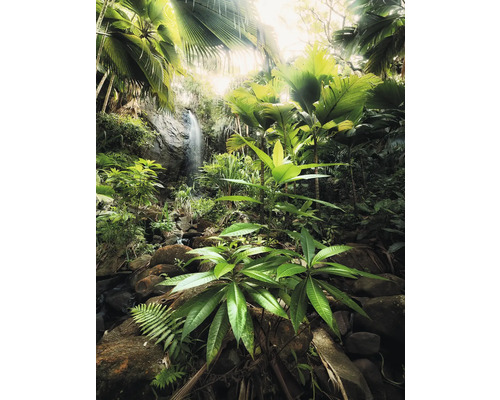 Jungle met waterval en weelderige vegetatie