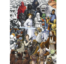 Illustratie met verschillende Star Wars karakters