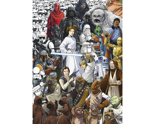 Illustratie met verschillende Star Wars karakters