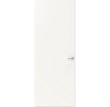 Witte binnendeur met deurklink