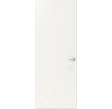 Gladde binnendeur met deurklink