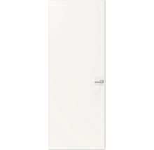 Gladde binnendeur met deurklink