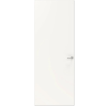 Gladde binnendeur met deurklink