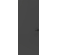 Grijze binnendeur met deurklink